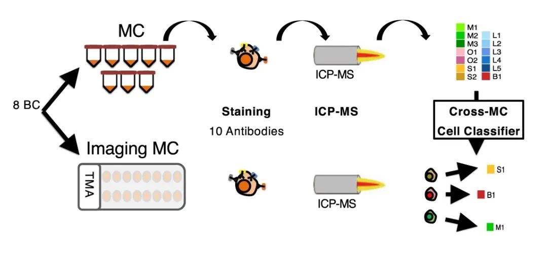 【Nature Communications】Fluidigm质谱流式及成像质谱流式技术助力癌症药物研发，为精准肿瘤学提供新思路