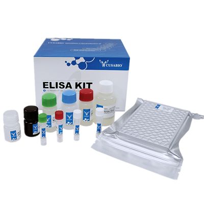 兔血管内皮细胞生长因子(VEGF)ELISA KitRabbit Vascular Endothelial cell Growth Factor,VEGF ELISA Kit