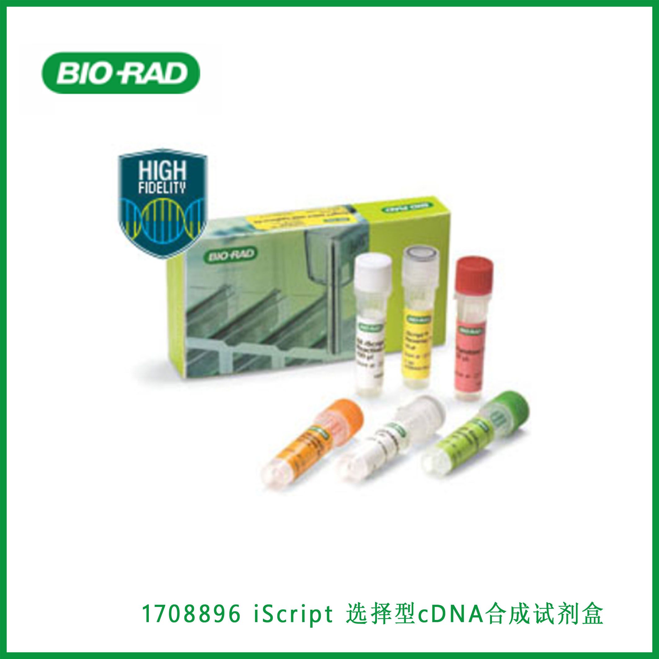伯乐Bio-Rad1708896iScript™ Select cDNA Synthesis Kit, 25 x 20 µl rxns，iScript™选择型cDNA合成试剂盒，25 x 20µl，现货