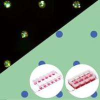 德国ibidi µ-Slides With Multi-Cell µ-Pattern 83802