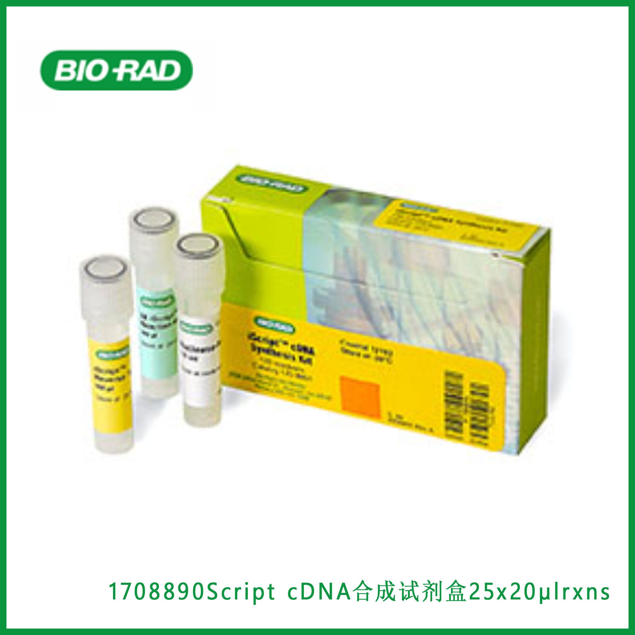 伯乐Bio-Rad1708890iScript™ cDNA Synthesis Kit, 25 x 20 µl rxns， Script™ cDNA合成试剂盒，现货