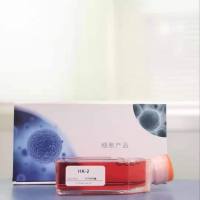 HuT78人T淋巴细胞白血病细胞(通过STR鉴定)