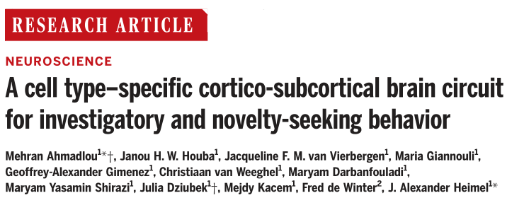 Science重磅｜揭秘我们的好奇心到底从何而来