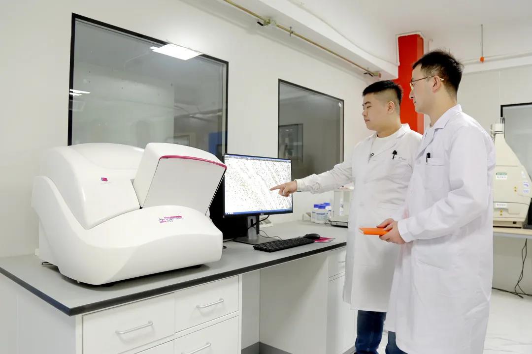 想做免疫荧光不会细胞爬片怎么行?