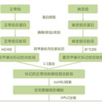 糖基化蛋白质组鉴定|糖蛋白质组学| 糖组学分析服务|蛋白质N-糖基化分析| 蛋白质O-糖基化分析