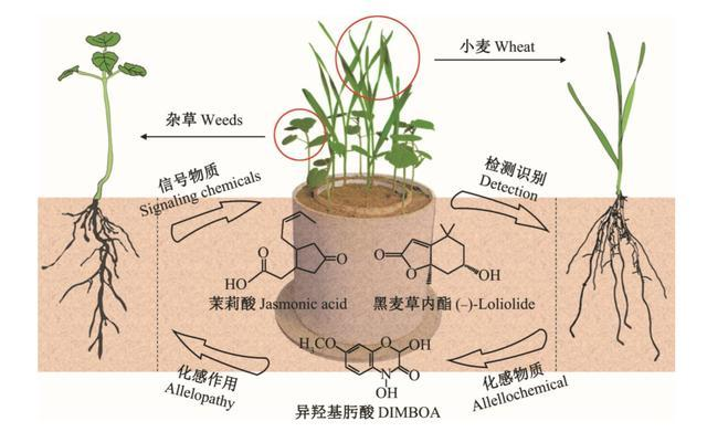 技术资料图片2