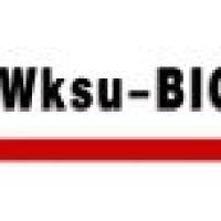 猪圆环抗体检测卡