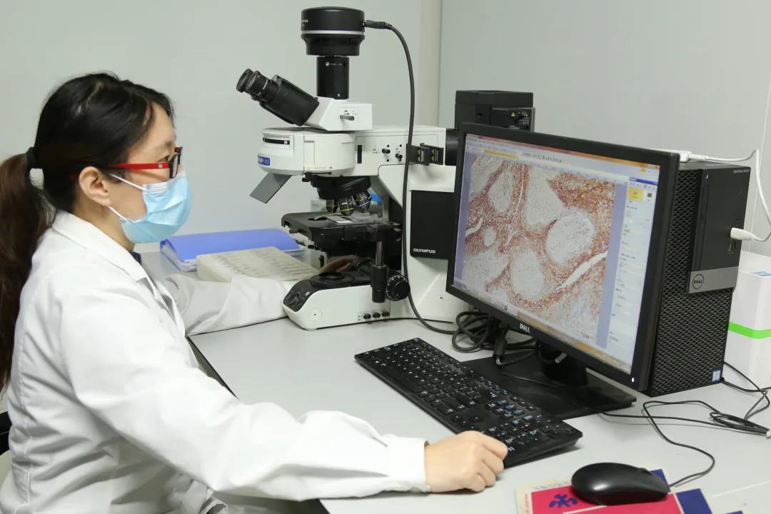 想做免疫荧光不会细胞爬片怎么行?