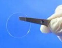 想做免疫荧光不会细胞爬片怎么行?