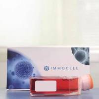 兔腹腔主动脉外膜成纤维细胞 培养丨兔原代细胞丨逸漠(immocell)