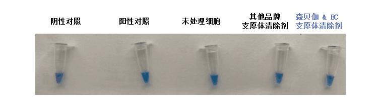 Myco-Out支原体清除试剂(100X)