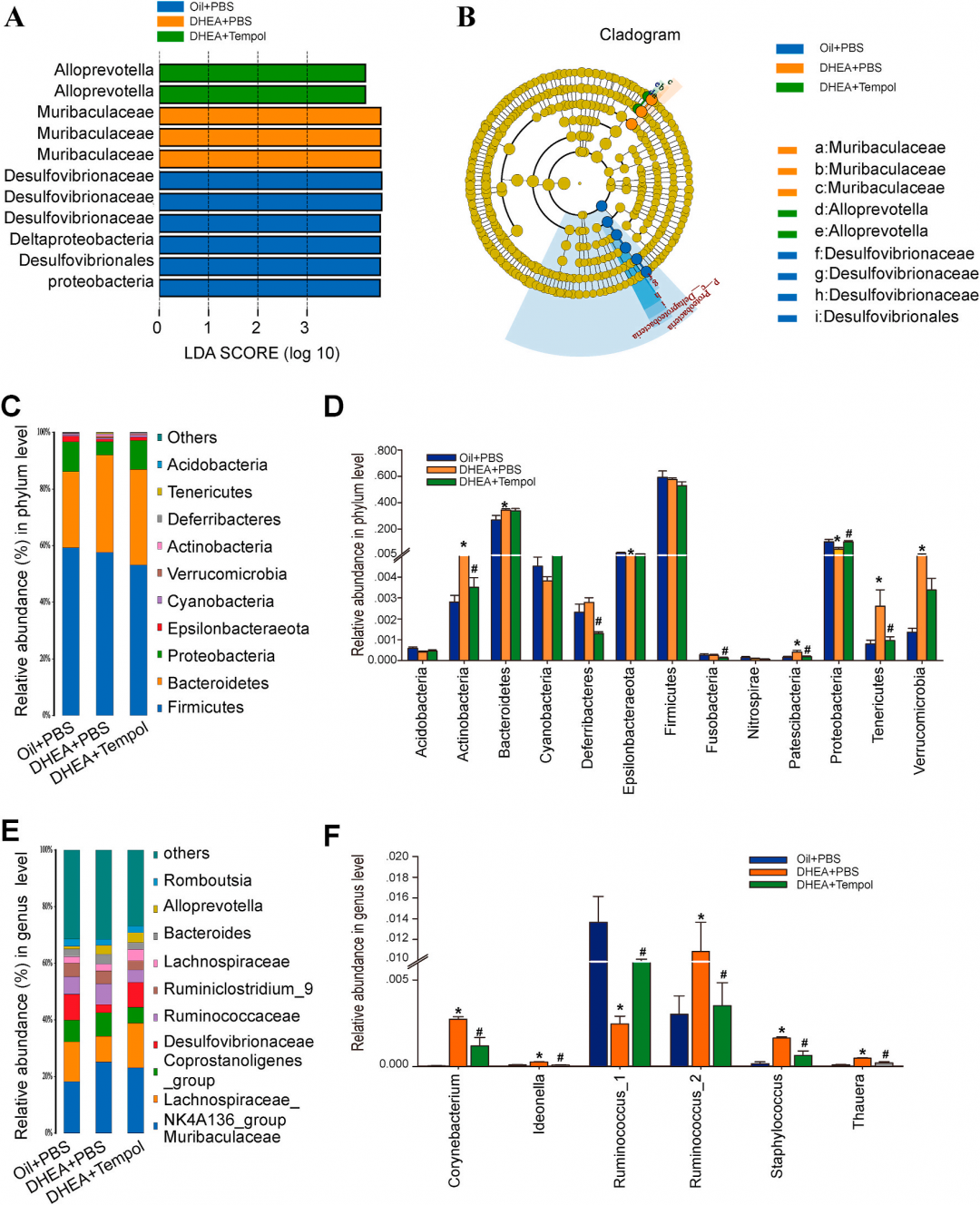 客户文章 | 代谢组学+16s研究Tempol对PCOS的潜在治疗效果