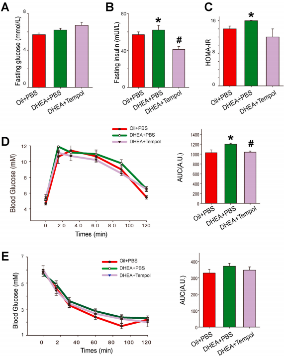 客户文章 | 代谢组学+16s研究Tempol对PCOS的潜在治疗效果