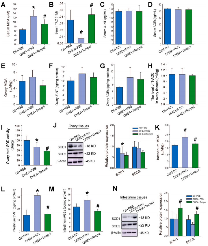 客户文章 | 代谢组学+16s研究Tempol对PCOS的潜在治疗效果