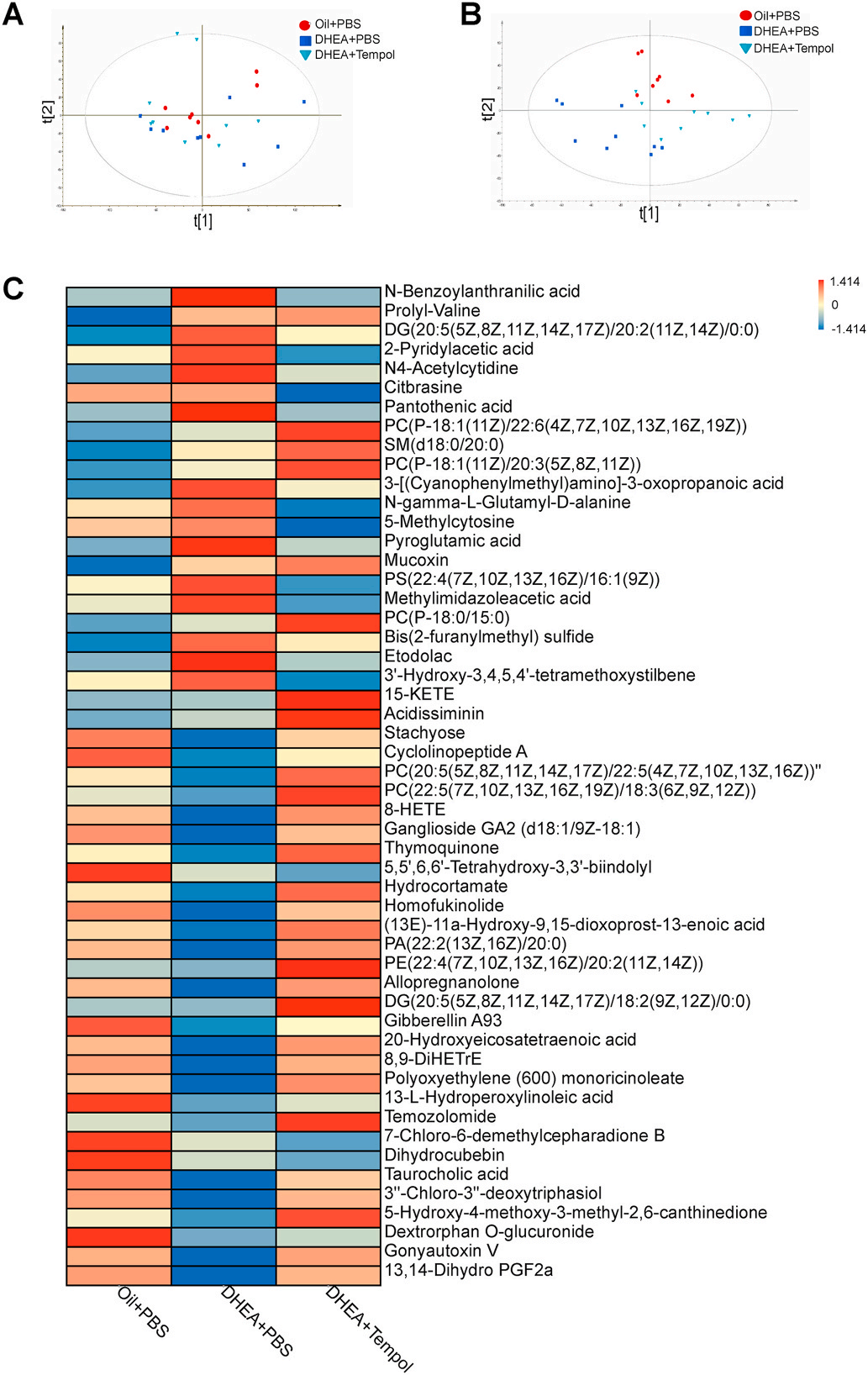 客户文章 | 代谢组学+16s研究Tempol对PCOS的潜在治疗效果