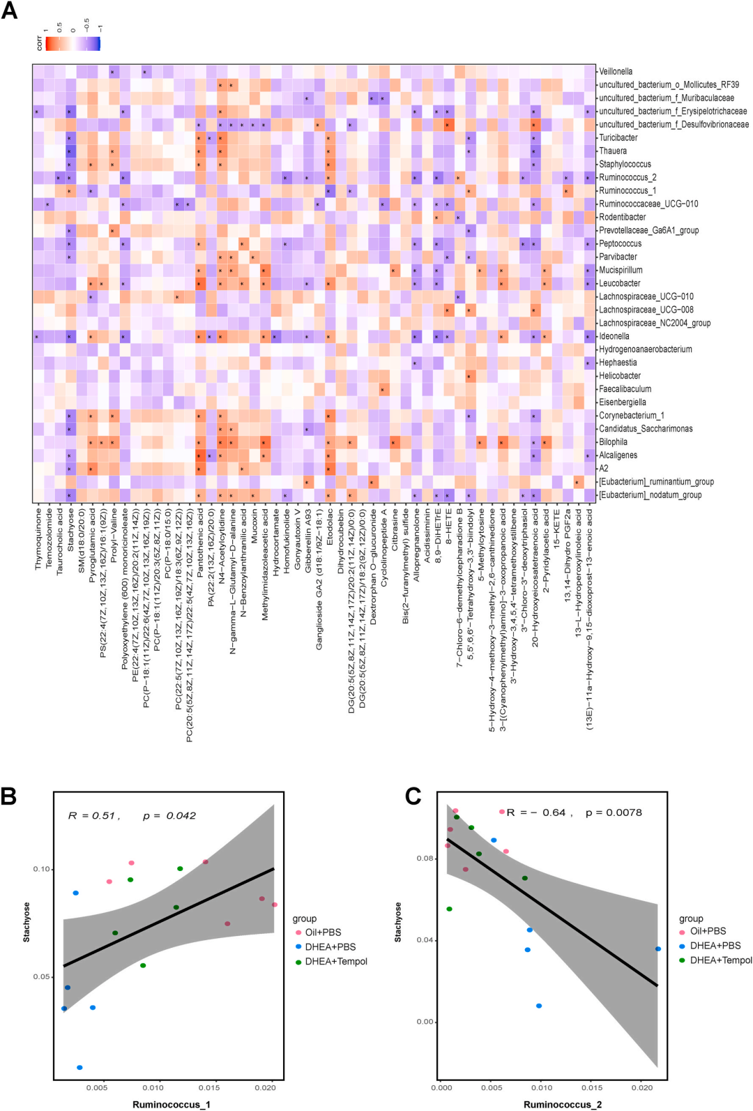 客户文章 | 代谢组学+16s研究Tempol对PCOS的潜在治疗效果