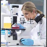 BT325 Cells;人脑多型胶质母克隆细胞|STR鉴定图谱