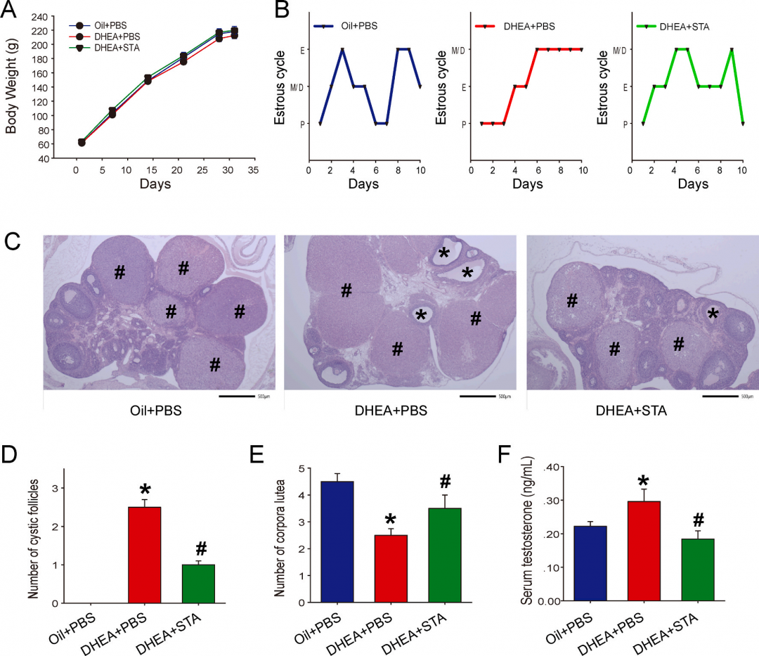 客户文章 | 代谢组学+16s研究Tempol对PCOS的潜在治疗效果
