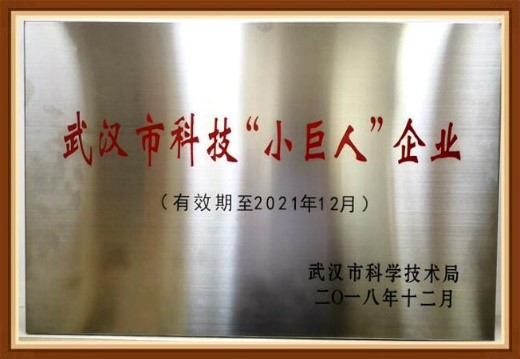 FineTest白细胞介素ELISA试剂盒介绍