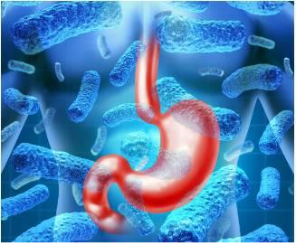 微生物群对宿主系统性抗病毒天然免疫应答有着根本性的影响