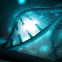 microRNA表达/miRNA表达检测/腺相关病毒