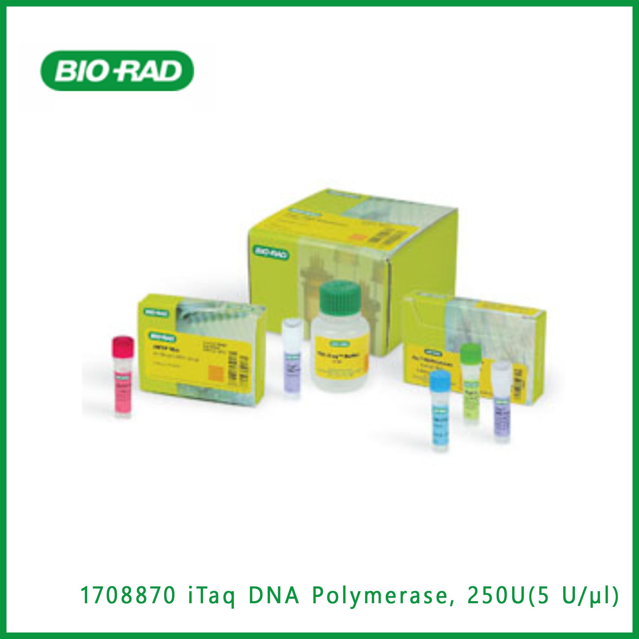 伯乐Bio-Rad1708870 iTaq™ DNA Polymerase, 250 U (5 U/µl), 50 µl，iTaq™ DNA热合酶，简介