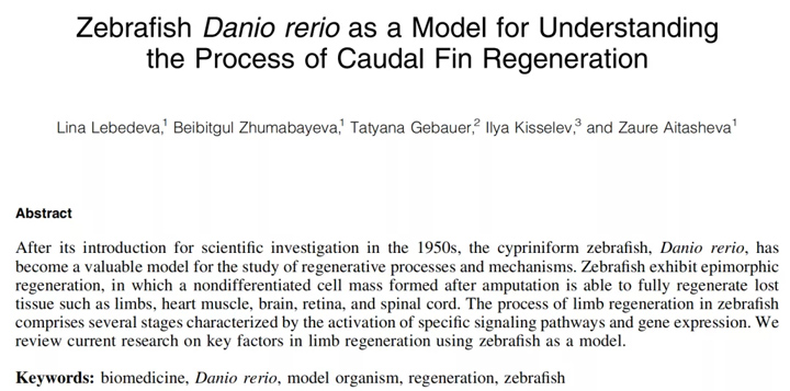 斑马鱼尾鳍再生模型丨斑马鱼技术应用丨国际研究丨环特生物