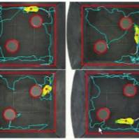 新物体识别视频分析系统