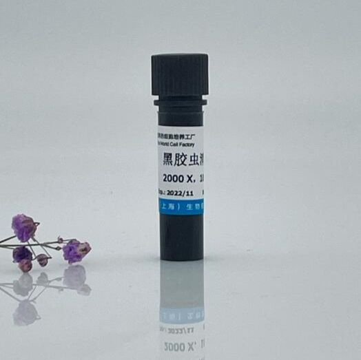 黑膠蟲清除劑（2000×） 支原體清除劑  支原體檢測 