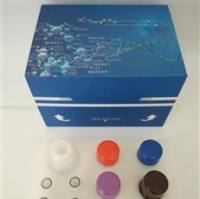 海藻糖含量测试盒