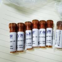 FITC-Dextran sulfate 40