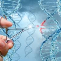 基因编辑/CRISPR/Cas9