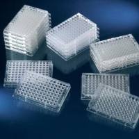 Thermo Nunc U96 透明微孔板 F96氨基酶标板