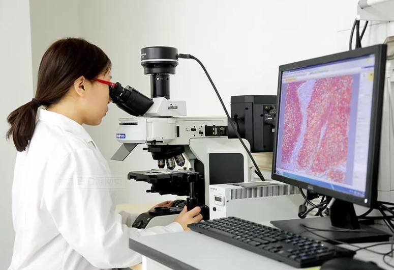 免疫组化、ELISA、WB的区别