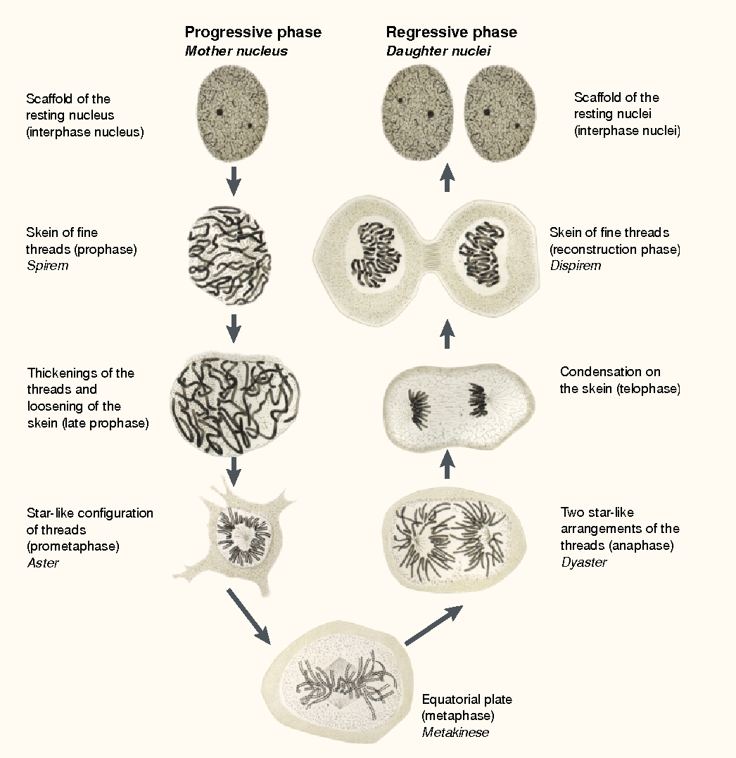 没有了辅助检查,医生还会看病吗?