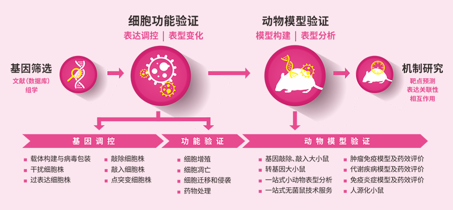参与心肌梗死后组织修复的重要分子
