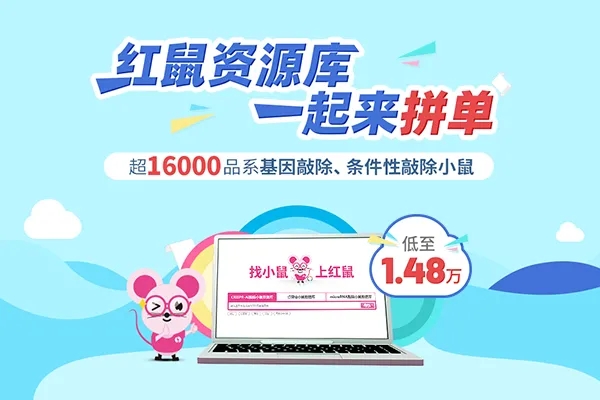 参与心肌梗死后组织修复的重要分子