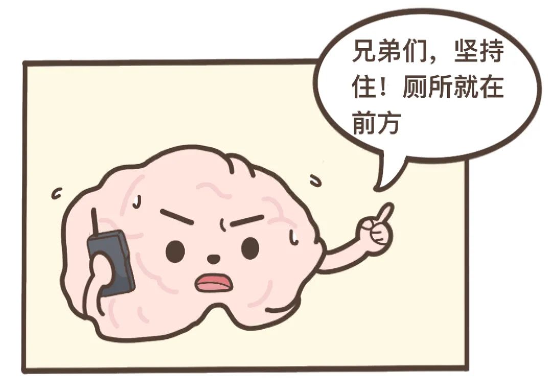 屁股到底是怎么区分屎和屁的啊?