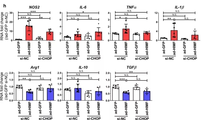 参与心肌梗死后组织修复的重要分子
