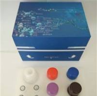 线粒体呼吸链复合体Ⅰ活性测试盒