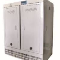 (珠江牌)大型强光照培养箱