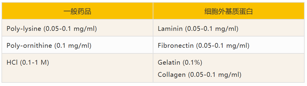 2个ICC/IF染色位置错误该做的事