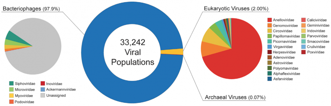 新品发布 | BIOTREE宏病毒组探索“已知的未知”微生物