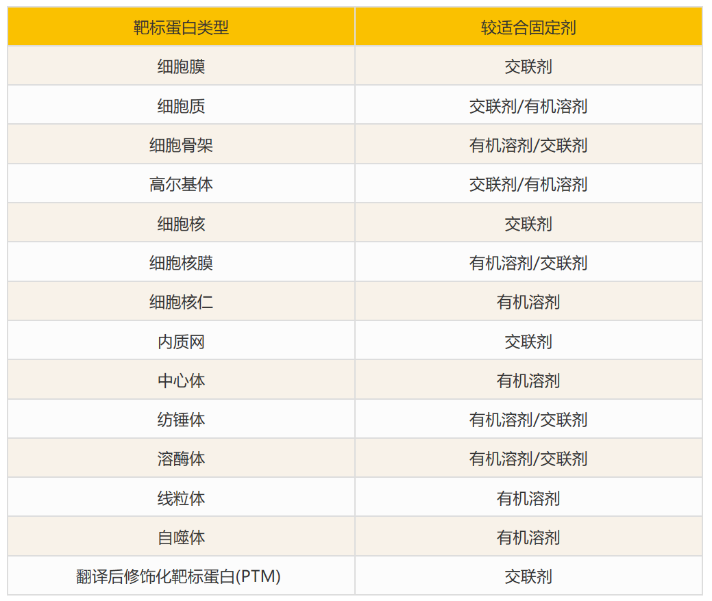 2个ICC/IF染色位置错误该做的事