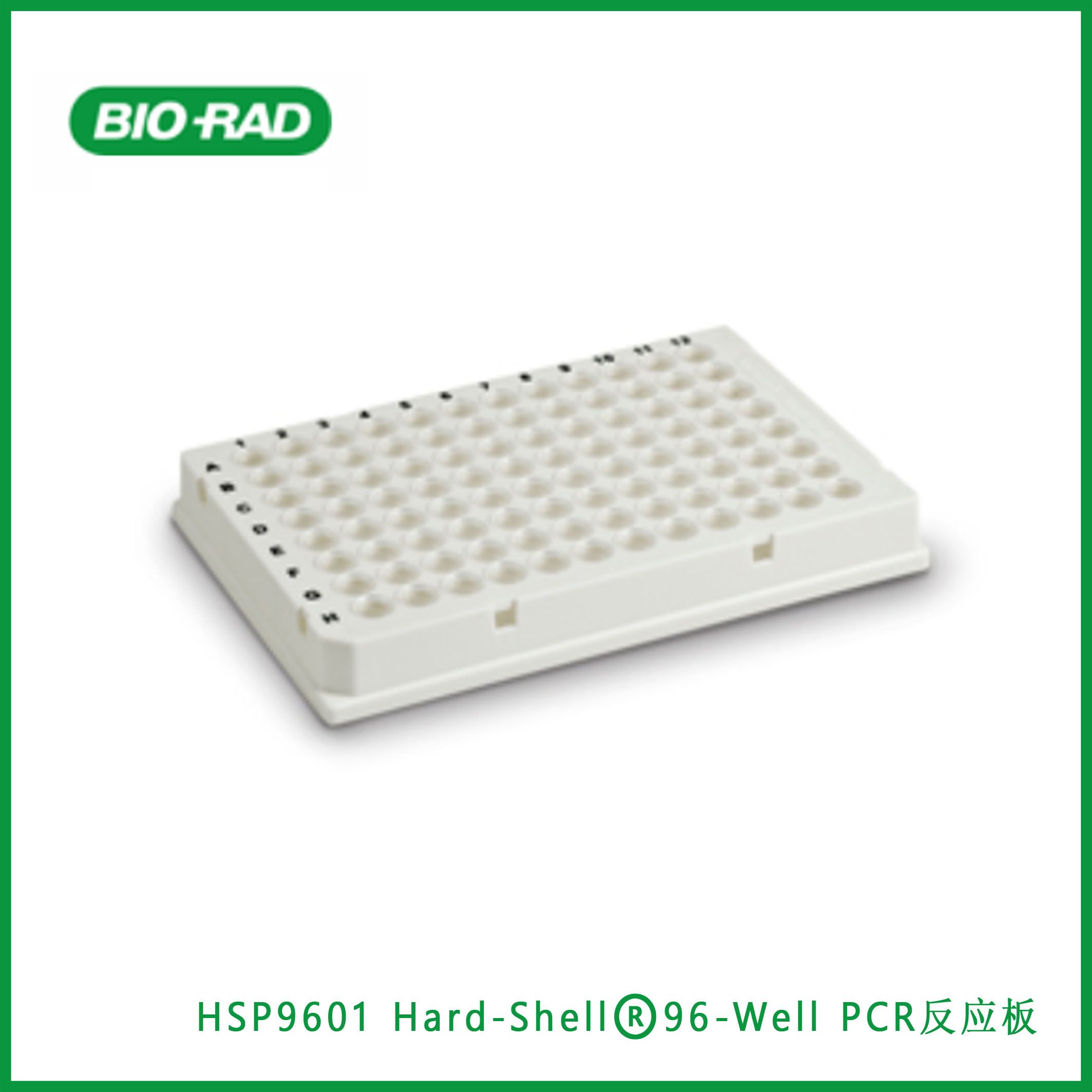 伯乐Bio-RadHSP9601 Hard-Shell® 96-Well PCR Plates, low profile, thin wall, skirted, white/clear, Hard-Shell® 96-Well PCR反应板,现货