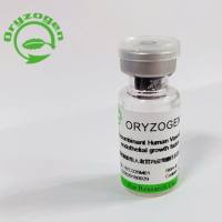 植物源重组人血管内皮生长因子OsrhVEGF