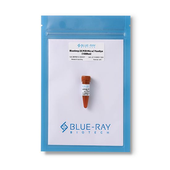 BlueAmp 2X PCR Mix w/ FluoDye