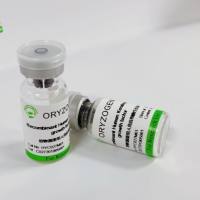 植物源重组人角质细胞生长因子OsrhKGF