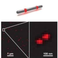 GATTAquant STED纳米级标尺