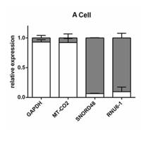 核质分离及qRT-PCR检测